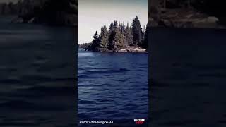 Forest Giant Emerges Groundbreaking Bigfoot Footage Revealed! (Must See) Scary Comp