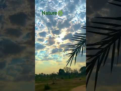 Nature #shorts#like #subscribetomychannel