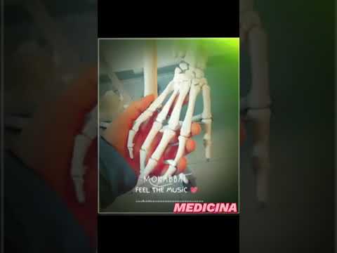 NEET MOTIVATION🔥 | #FUTUREDOCTORS #AIIMSDELHI #NEET #MBBS #AIIMS #MAMC #VMMC #AFMC #MEDICINE #SHORTS