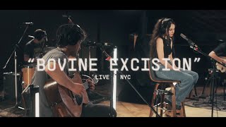 Samia - Bovine Excision (Live x NYC)