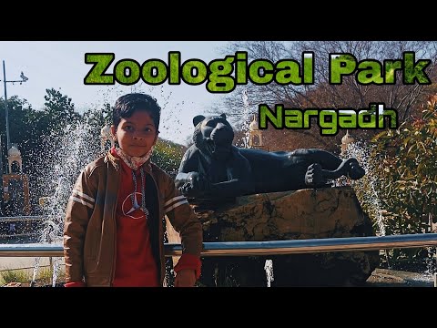 Nahargarh Biological Park Vlog | नाहरगढ़ जैविक उद्यान | Places to visit in Jaipur | SURYANSH-istic