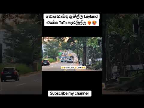#sinhalanewsongs #automobile #busconductor #newsinhaladjremixnonstop2024 #busdj #shalu_bus_king_dom