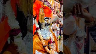 #travel #rajasthani #toliyasar #tolivelugulive #desbhakistatusvideo #love #mha_guidelines #mhakumbh