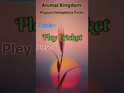 Animal Kingdom|phylum Ctenophora #animalkingdomtricks #animalkingdom #trick #neet #biologytricks