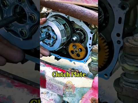 Clutch Plate service || Bike Maintenance || #automobile #bike #repair #maintenance #education #shots