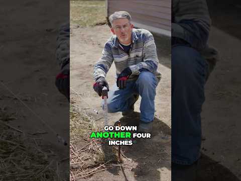 How To Prepare Ground For A Floating Ground Deck #deckbuilding #landscapedesign #diyprojects