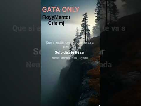 GATA ONLY FloyyMentor and Cris MJ #lyrics #lyricoholic #lyricsforyou #tiktoksong