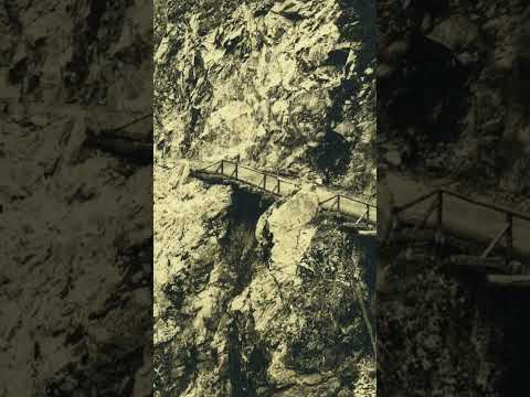 1800's BC Gold Rush ... Wooden Sections of Cariboo Wagon Rd at Nicaragua Bluff Steep Sections