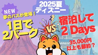 【最新情報】遂に夢のディズニーチケット登場？！夏ディズニーのためのパークホッパーパスを徹底解説！ディズニーホテルに泊まろうか迷っている方必見です！サマークールオフをお得に楽しむプランもご紹介！