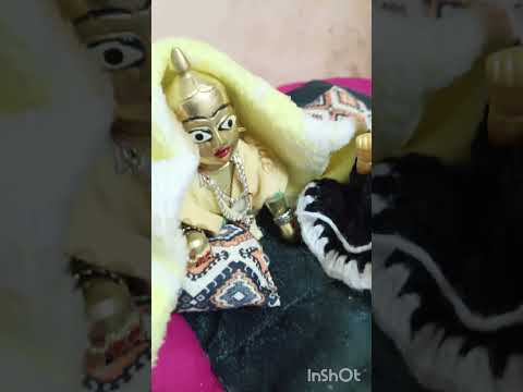 Morning routine of laddugopal jago#laddugopal#radheradhe#shortsvi...Jago Jago Prabhu  # manju kalala