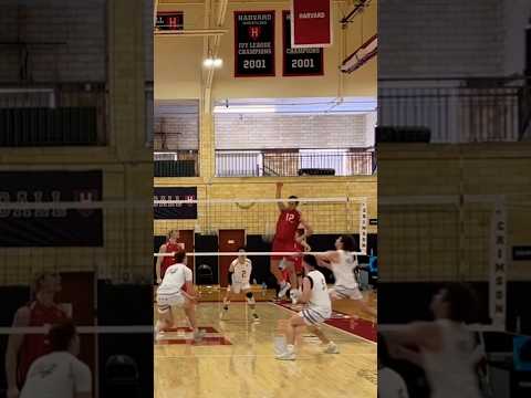 Overpass Bounce #volleyball #highlights #voleibol #haikyu #fyp #harvard #mensvolleyball