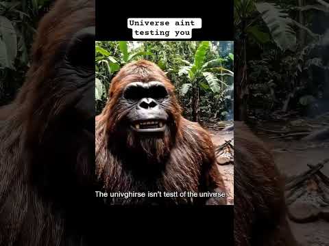 The Universe is not testing you bro - Bigfoot Vlog #bigfootvlog #yetivlog