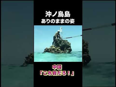 沖ノ鳥島のありのままの姿　#建設 #建設業 #島紹介 #shorts