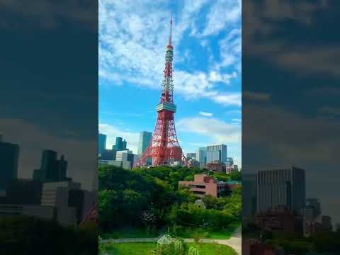 Super View 🗼🌱🌱😻 from hotel near the Tokyo Tower - Japan Travel - Love & Peace  #Shorts