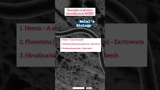 Examples of phylum Annelida from NCERT #neet #neetbiology #neettricks #neettips #neetmotivation #bio