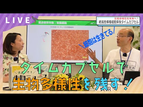 絶滅危惧種細胞保存タイムカプセル【すごいぞ！生物ニュース2023】