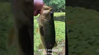 434 VA fishing.