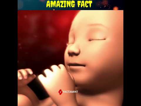 Amazing fact about maternal death || New borned baby death || #shorts #factamint