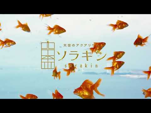 『天空のアクアリウム✨ソラキン✨』in香川ゴールドタワー　テレビCM・昼バージョン