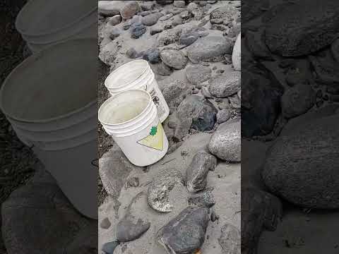 Using Tailings Pond as a Source of Pay Dirt - Dual Purposing the Tailings Pond