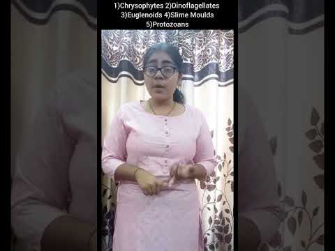 Biology Quick Revision:Biological Classification:Kingdom Protista #shorts