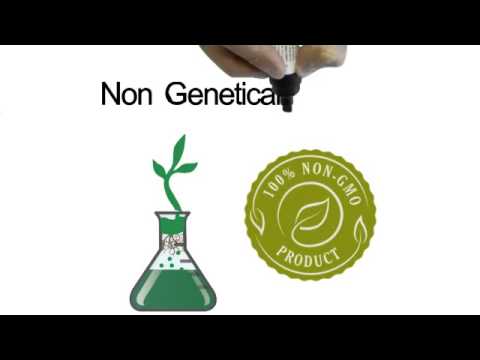 Best place to Buy CBD Oil?