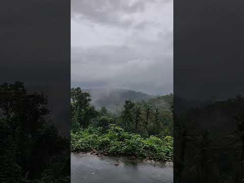 NATURE BEAUTY #malayalam #love #song #nostalgia #kids #nature