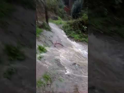 el tabo - tabito lluvia y quebrada #eltabo #nature #tabito #lluvia