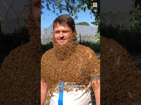 Bee Bearding 😨 – Why Do People Cover Themselves in Bees? #facts