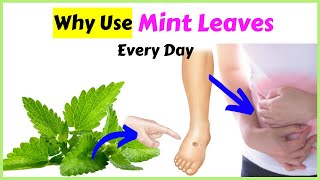Mint Leaves: 10 Health Benefits That Surprise You!!!😲😲