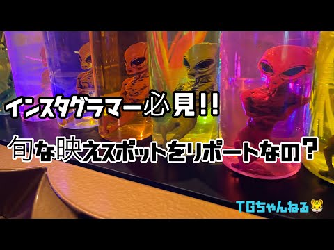 映え必須！！横浜で期間限定開催中の不思議な水族館へ！！！