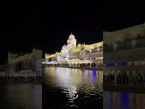 Golden temple ✨🌹 #minivlog #ytshorts #templesofindia #travelling...🫶🏻❤️