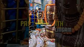 Pashupatinath temple lingam /Jay Pashupatinath #pashupatinath #adventuretravel #kedarnath #misteri