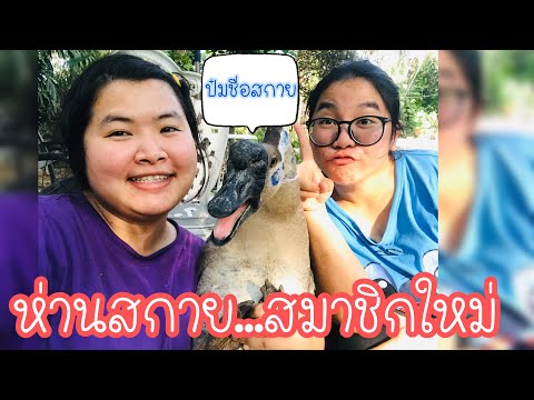 ห่านสกาย สมาชิกใหม่ พามาเปิดตัว