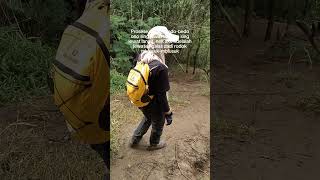 #pendakigunung #hiking #story #storypendaki