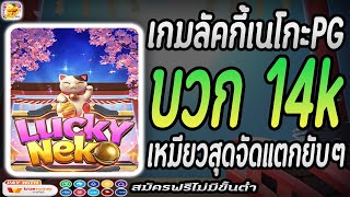 เว็บสล็อตเว็บตรง ฝากถอนไม่มีขั้นต่ำ เว็บสล็อตเว็บตรง วอลเล็ตฝากถอนไม่มีขั้นต่ำ : เหมียวสุดจัดแตกยับ