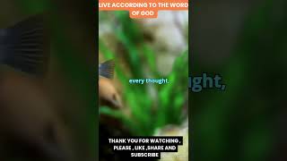 Live according to the word of God | Motivation |  #yourfaith #christianfaith #shorts