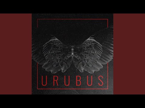Urubus