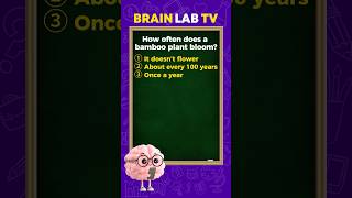 Brain Lab TV Quiz Ep.20  #quiz  #brainlearning #funquiz #trivia