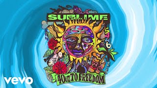Sublime - D.J.'s (Visualizer)