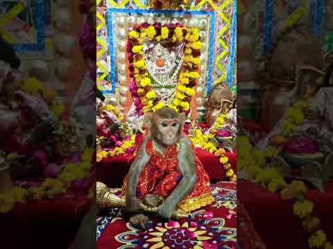 #hanumanbhajan #hanumanchalisa #youtubeshorts #viralvideo #hanmanji #suscribete#hanuman #sorts#vide🥰