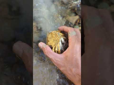 l flowing river holds gold #goldhunter