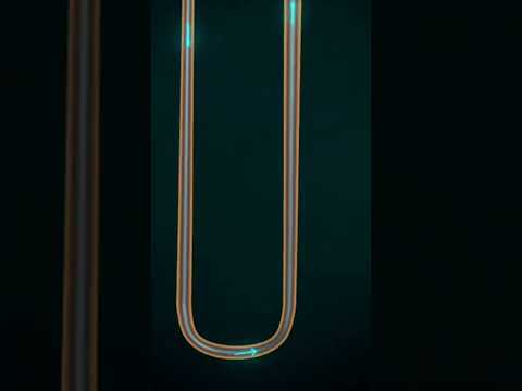 nephron filtration #3d #animations #medicosphere #viral #shorts #anatomy #physiology #medicos
