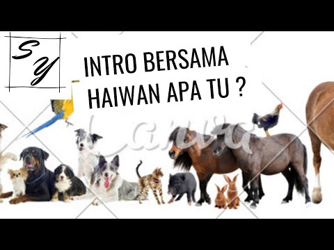 Intro Bersama Haiwan Apa Tu ? ¦ SHAYAS STAR ¦ #StayHome Create #Withme