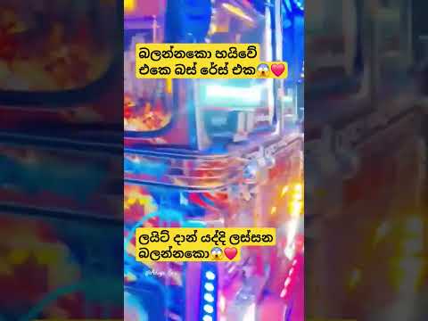 ලස්සන ලයිට් දාන් යන බස්😱❤️ #dhamrejini #automobile #trending #viralvideo #buslovers #busfan #bus