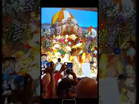 || ISKCON Noida Flower Holi Special Darshan || Bolo Radha Radha Naam || #shorts #radheradhe