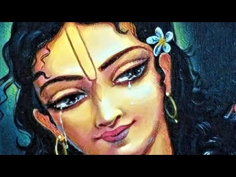 Nityananda triyodashi mahautsav vlog | Celebration in Jandiala Centre | 2025