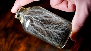 Making Lightning in a Bottle with a Particle Accelerator