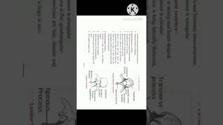 Class XI Biology Practical B/12. Study Of Human Skeleton | #shorts | @elearn2bsmart | Class XIl