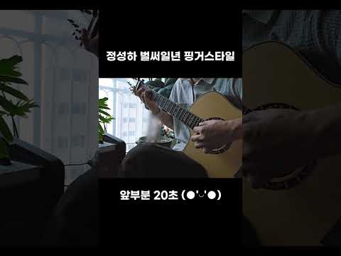 정성하 벌써일년 핑거스타일 🫡 #sungha_jung #벌써일년 #fingerstyle